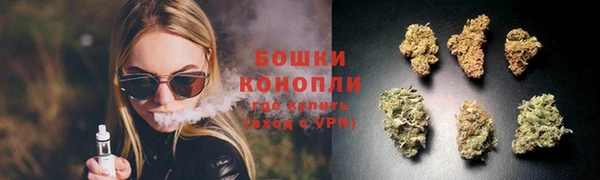 прущий лед Козельск