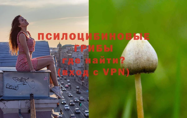 прущий лед Козельск